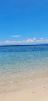 Tropical beach with clear blue sky and ocean waves.