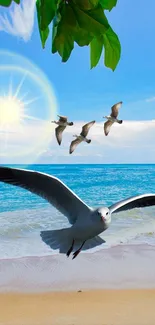 Seagulls flying over a sunny beach with clear blue skies.