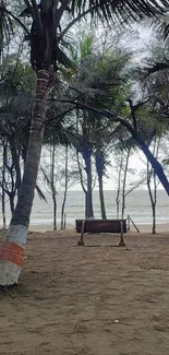 Serene beachfront with palm trees at a sandy shore.