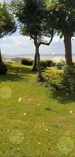 Lush green park with beach view under clear skies.