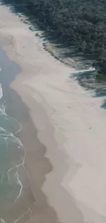 Aerial view of a serene beach with waves meeting the sandy shore and forest edge.