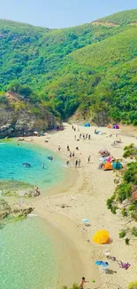 Scenic beach wallpaper with lush greenery.