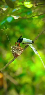 Bird perched on a branch with a nest amidst lush green background.