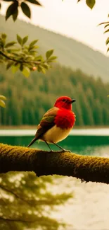 Vibrant red bird on mossy branch with mountain and lake background.