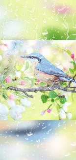 A blue bird perched on a blossoming branch with a light green background.