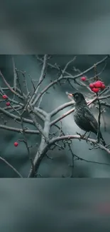 Bird perched on a branch with red berries in serene nature scene.