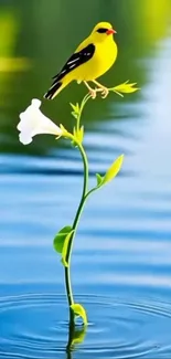 Yellow bird perched on flower over water.