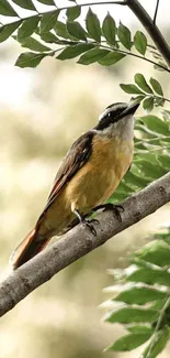 Bird perched on a leafy branch.