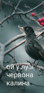 A blackbird perched on a branch with red berries, set against a dusty blue background.