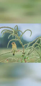 A bird gracefully perched on a green branch.