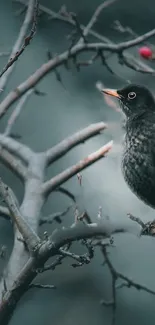 A serene bird perched on a branch against a slate gray backdrop.