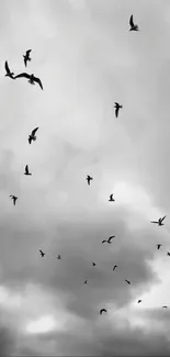 Black and white image of birds flying in a cloudy sky.
