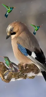 Birds perched on a branch with a muted background.