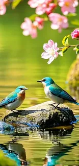 Two colorful birds on a rock with spring blossoms and a calm lake.