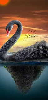 Black swan glides on a sunset-lit lake, creating a serene and vibrant scenery.