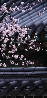 Pink blossoms and dark traditional rooftop.