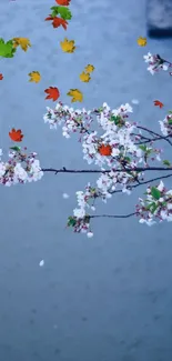 Serene cherry blossom branch on a tranquil blue background.