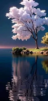 White blossom tree with water reflection at sunset.