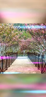 Mobile wallpaper of a pathway lined with pink blossoming trees.