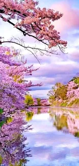 Cherry blossoms over a serene reflective river scene.