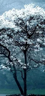 Serene blossom tree in misty forest wallpaper.