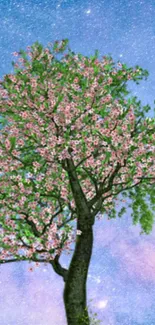 Blooming tree under starlit sky wallpaper