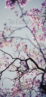 Mobile wallpaper with purple blossoms on branches against a soft sky.