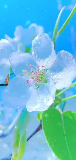 White blossoms and butterfly against a clear blue sky.