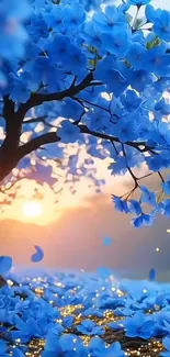 Blue blossom tree under a vibrant sunset.