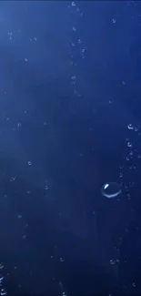 Dark blue background with gentle bubbles.