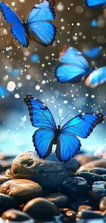 Blue butterflies flying over pebbles with a serene background.