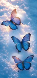 Three blue butterflies on a snowy surface glowing softly.