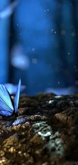 Serene blue butterfly on forest ground.