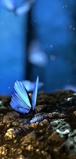 Serene blue butterfly glowing on a rock with tranquil background.