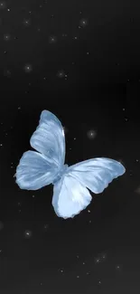 Elegant blue butterfly on black mobile wallpaper.