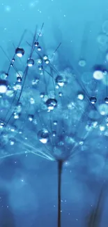 A serene blue dandelion with dew drops on seeds.