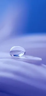 Close-up of a water droplet on a blue petal, creating a calming effect.