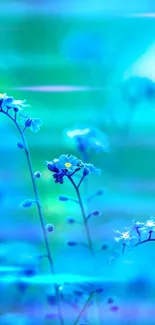 Vibrant blue flowers create a serene and calming mobile wallpaper.