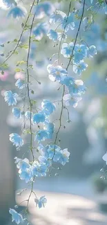 Serene light blue floral mobile wallpaper with delicate flowers.