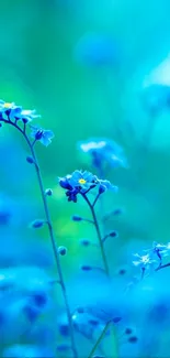 Serene blue flowers creating an elegant and calming mobile wallpaper design.