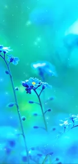 Serene blue flowers on a vibrant teal background.