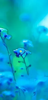 Close-up of delicate blue flowers with a serene green background.