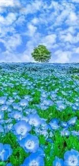 Field of blue flowers under a cloudy sky with a lone tree.