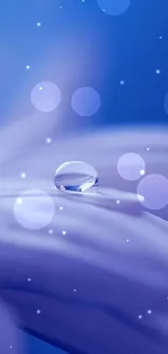 Close-up of a blue flower with a water droplet on petals.