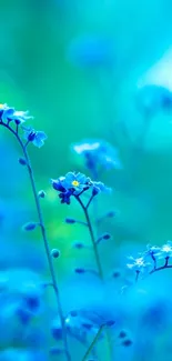 Serene blue flower wallpaper with delicate, soft-focus blooms