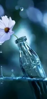 A delicate flower in a glass bottle with a blue background, serene wallpaper.