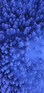 Aerial view of a blue snow-covered forest.