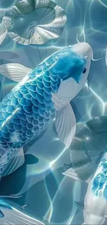 Serene blue koi fish swimming in water.