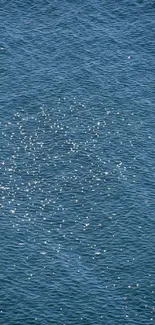 Tranquil blue ocean with scattered seabirds, perfect as a mobile wallpaper background.