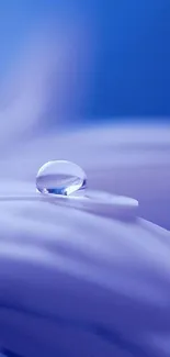 Serene blue flower petal with water droplet, macro shot.